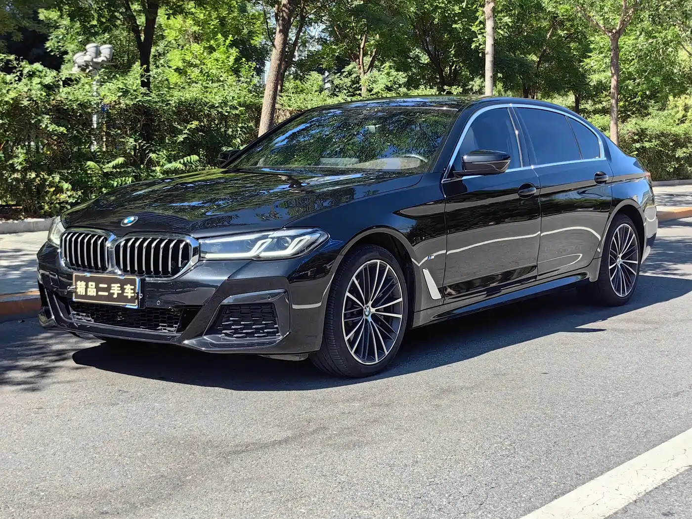 BMW 5 Series 2022 530Li xDrive M Sport Package