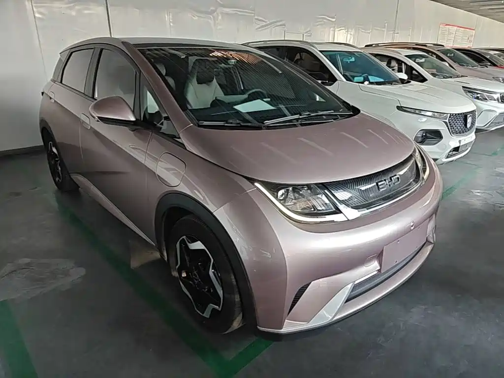 Фото 4 - BYD Dolphin