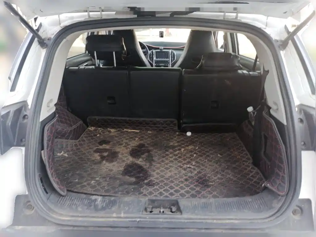 Leopaard CS9 2018 2017 1.5L Manual Trend