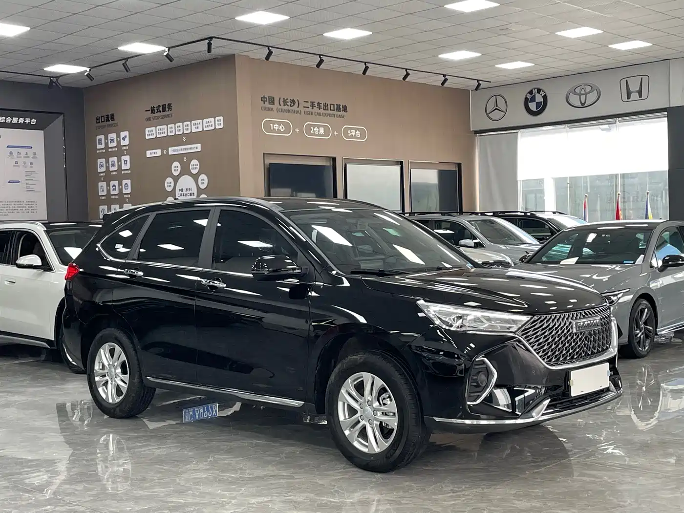 HAVAL M6