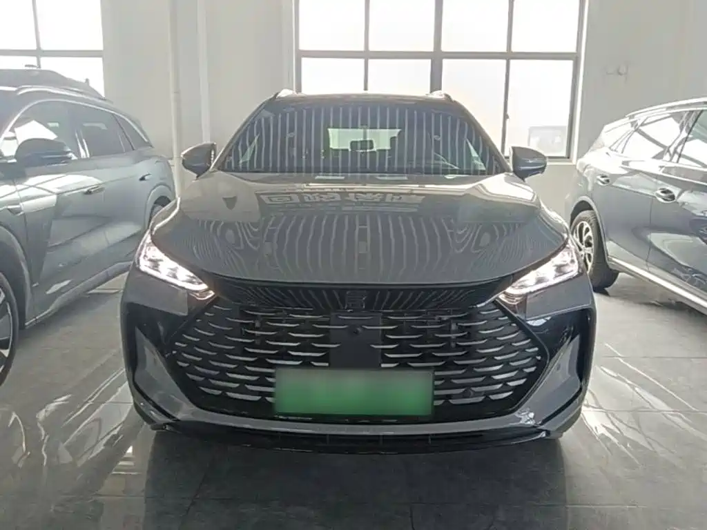 BYD Tang New Energy 2025 2025 Smart Driving Edition DM-i 115KM Flagship