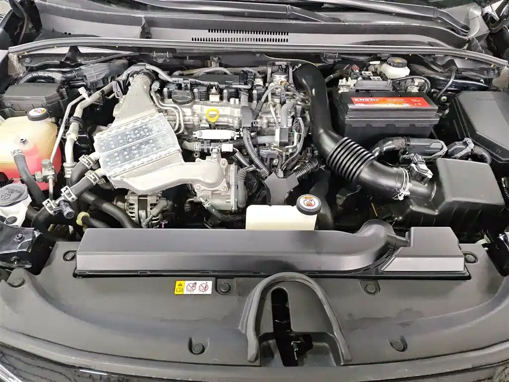 Toyota Levin 2019 185T CVT Luxury Edition China VI фото 20