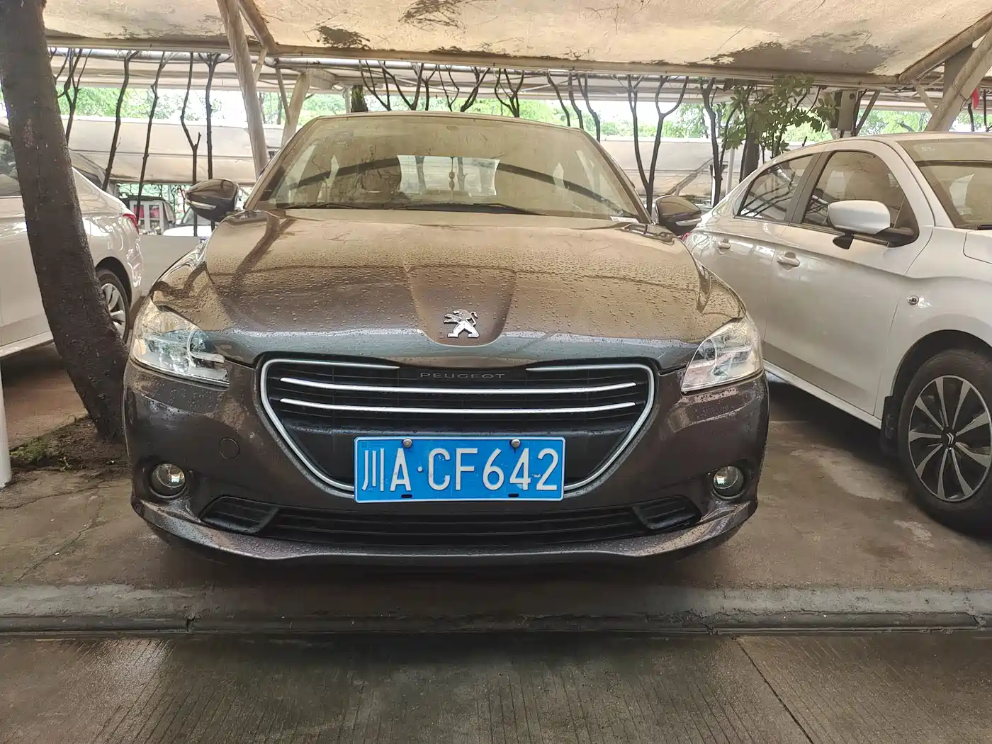 Peugeot 301 2014 1.6L Automatic Comfort Edition фото 2