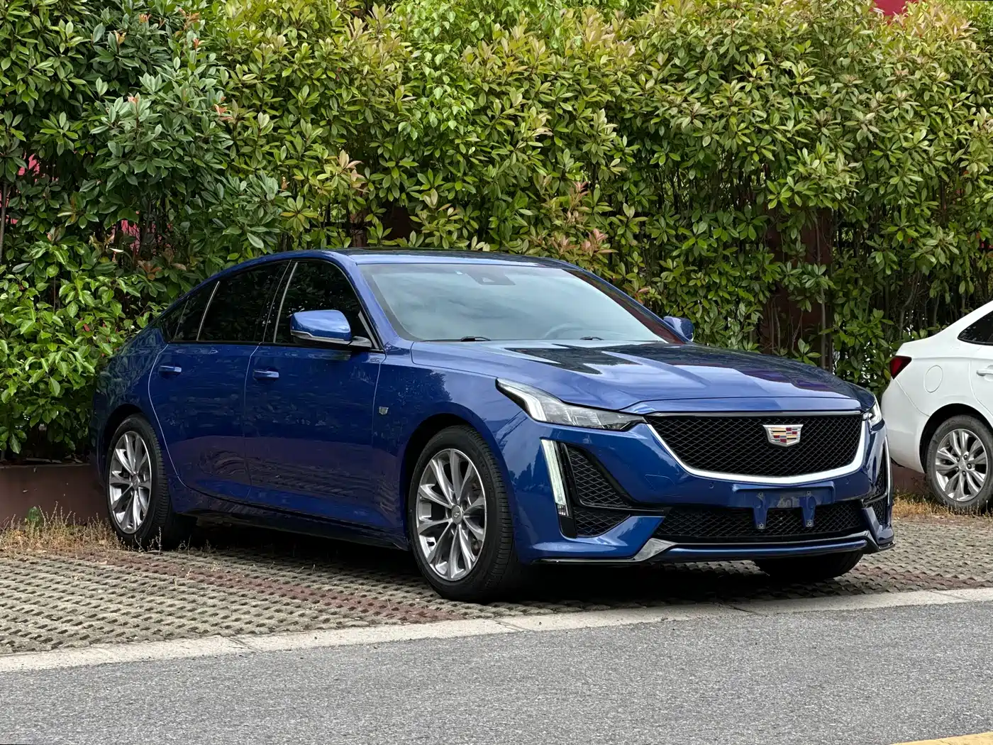Cadillac CT5 2021 28T Leading Sport фото 3