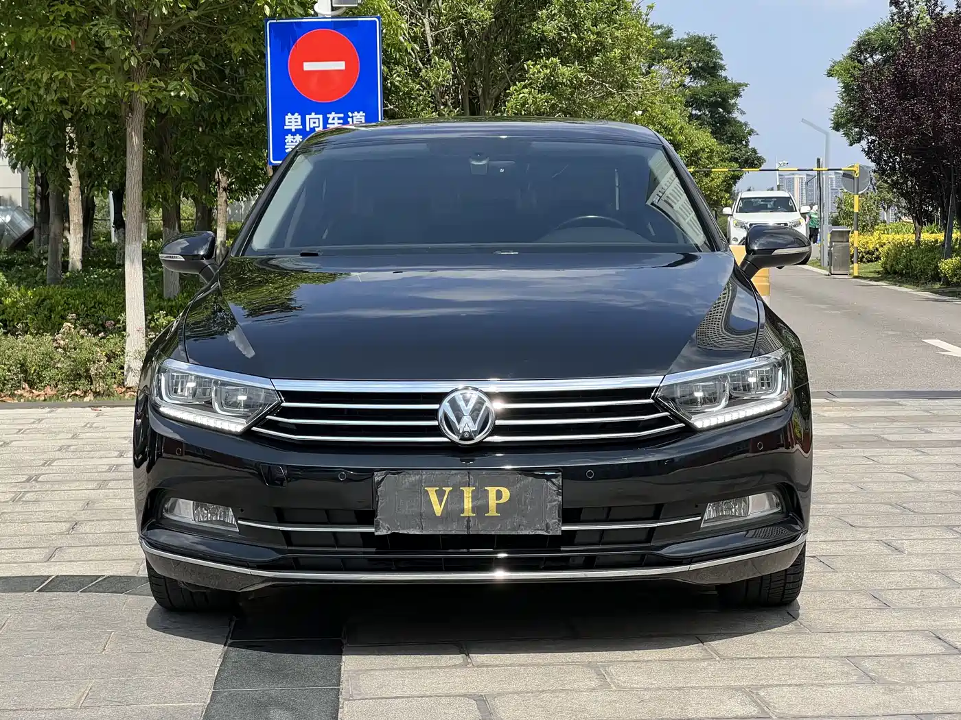 Volkswagen Magotan 2019 330TSI DSG Luxury Class China VI фото 2
