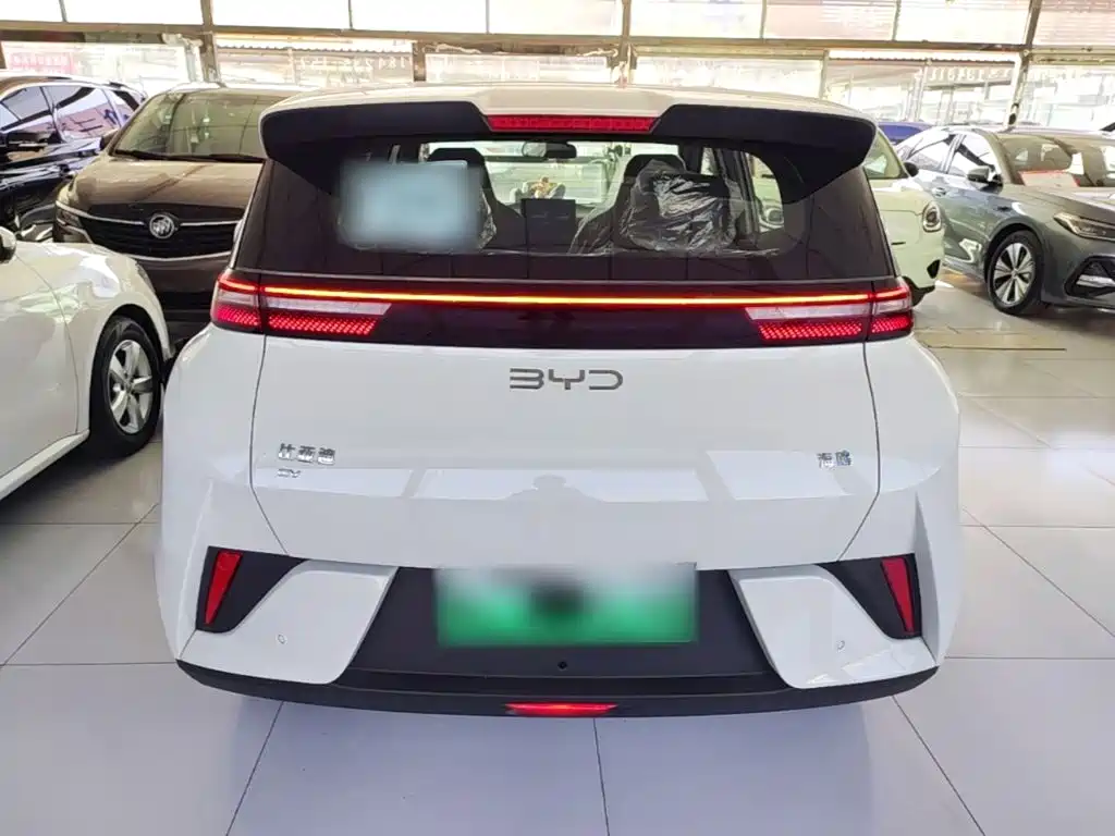 BYD Seagull 2026 2025 Smart Drive Edition 305km Vitality Version