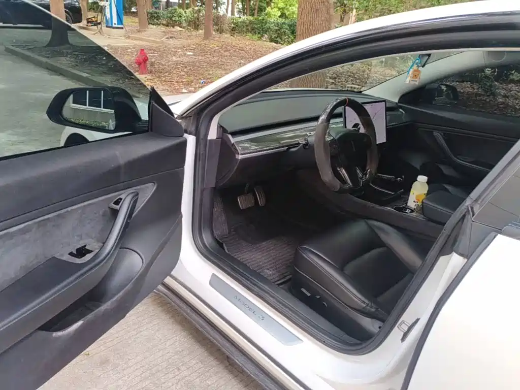 Tesla Model 3 (Import) 2019 2019 Long Range All-Wheel Drive Edition