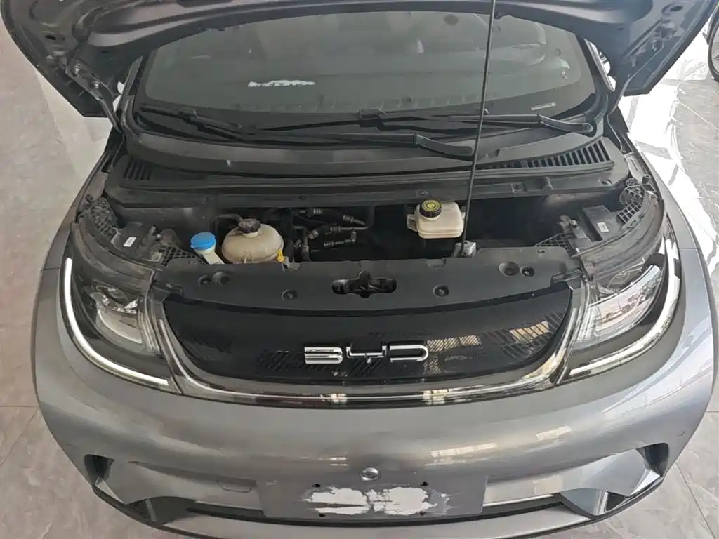 Фото 20 - BYD Dolphin