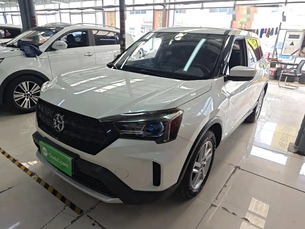 Venucia T60 2019 2020 Model 1.6L CVT Zhixing Edition China VI
