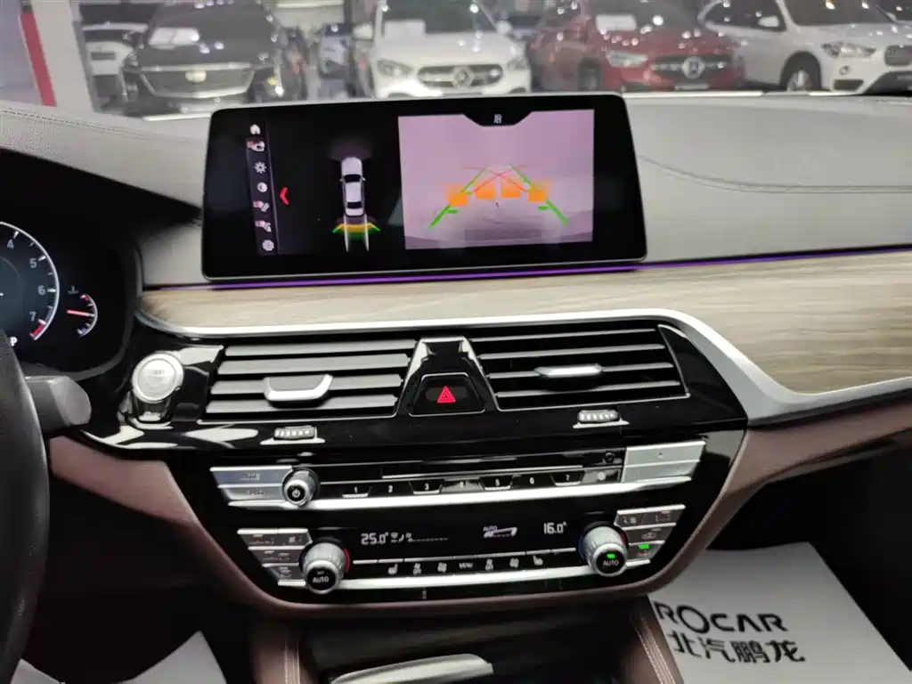 BMW 5 Series 2019 530Li Leading Luxury Package фото 18