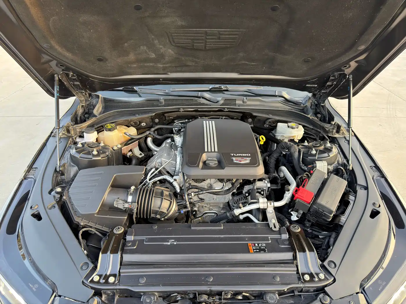Cadillac CT4 2020 28T Elite фото 22
