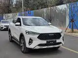 Фото 3 - Haval F7x