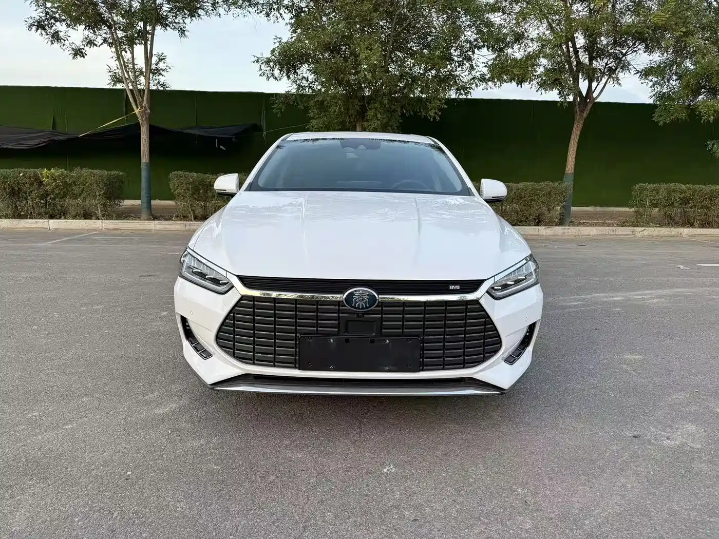 BYD QINHUANGDAO NEW ENERGY