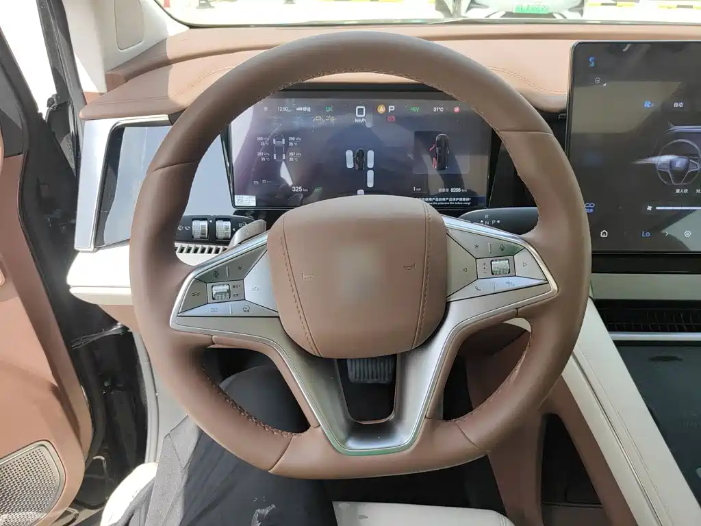 Фото 7 - BYD Xia