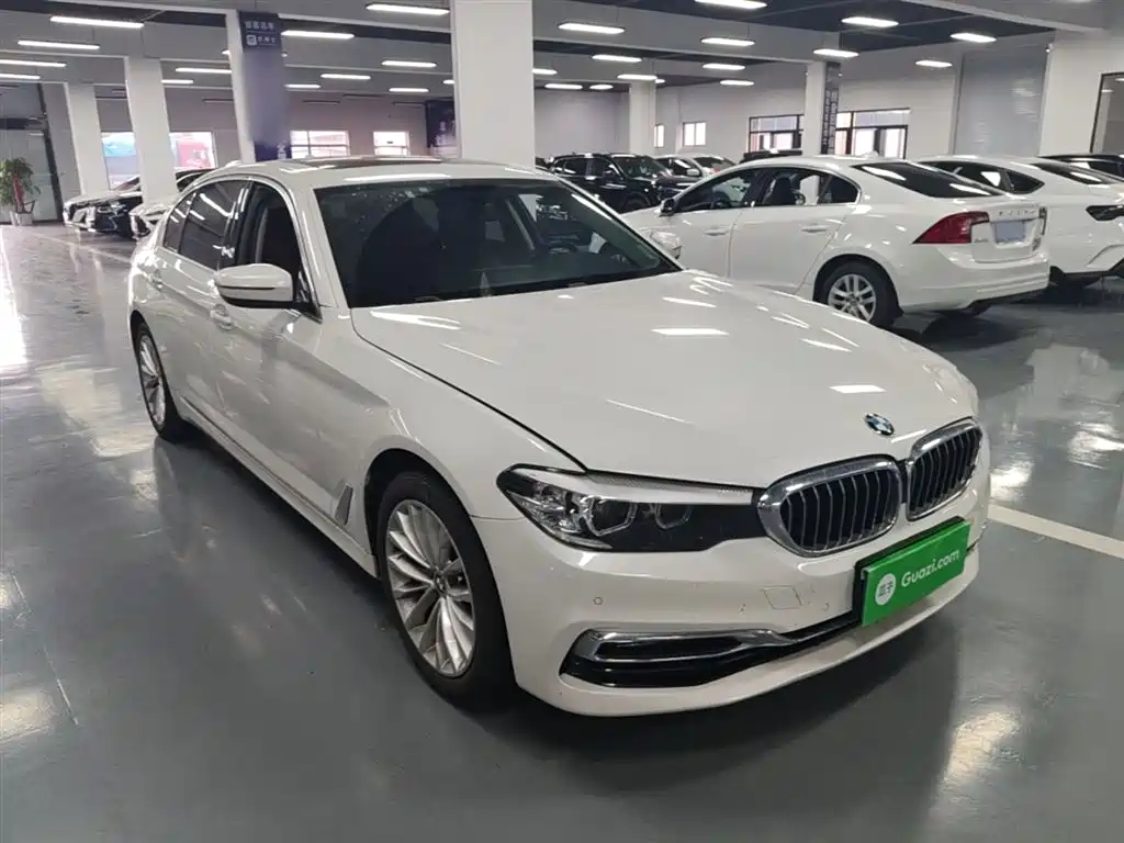 BMW 5 Series 2019 525Li Luxury Package фото 4