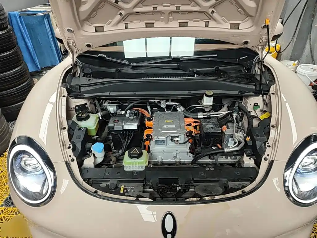 Ora Good Cat 2023 2023 401km Standard Range Honor Edition (LFP)