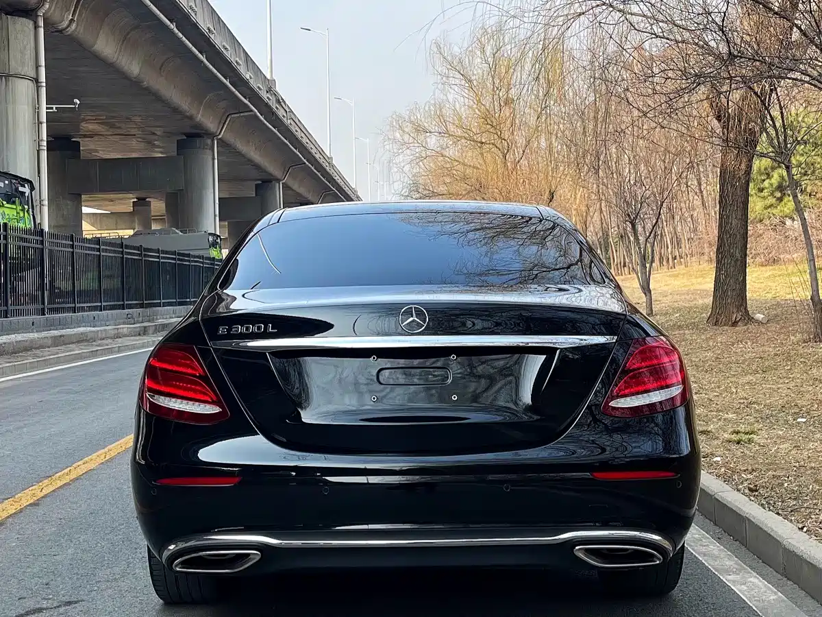 Mercedes-Benz E-Class 2019 E 300 L Fashion фото 10
