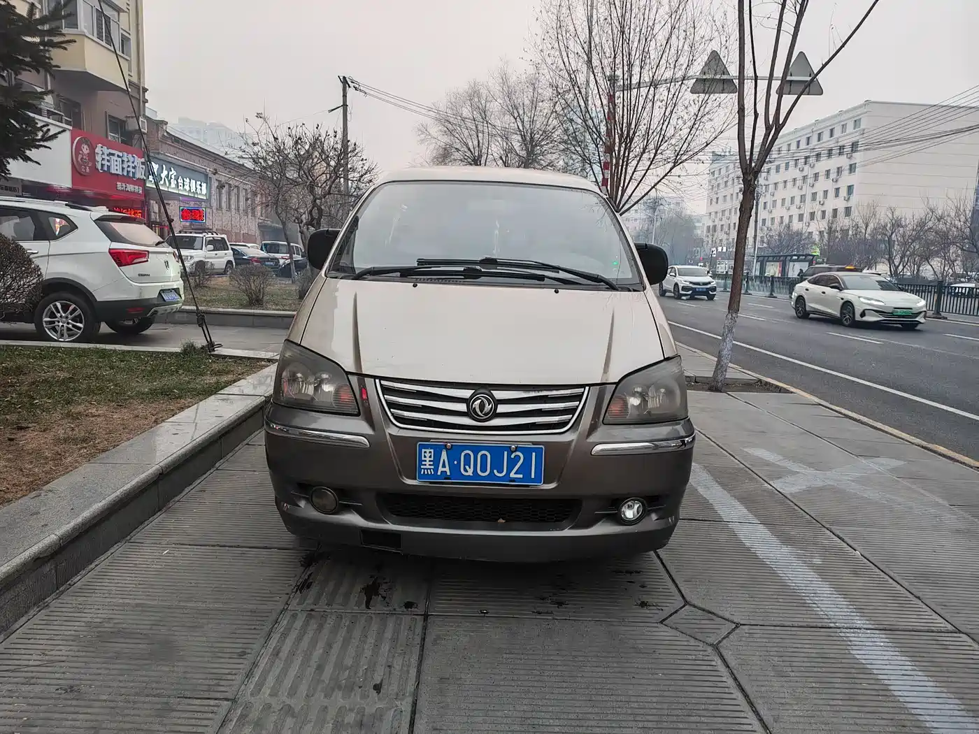 Фото 2 - Dongfeng Fengxing Lingzhi