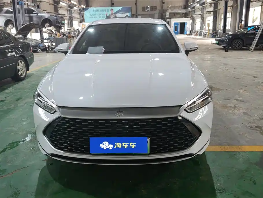 BYD Qin PLUS 2024 Glory Edition DM-i 55KM Leading фото 2