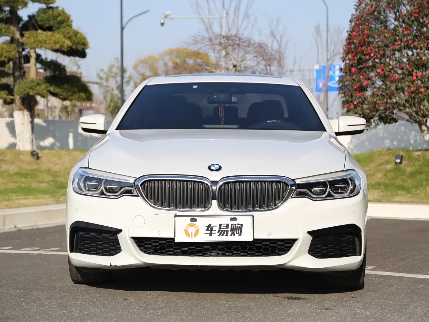 BMW 5 Series 2020 530Li Leading M Sport Package фото 2