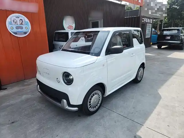  Ruilan Auto Ruilan Blue Elf 2025 Base Model