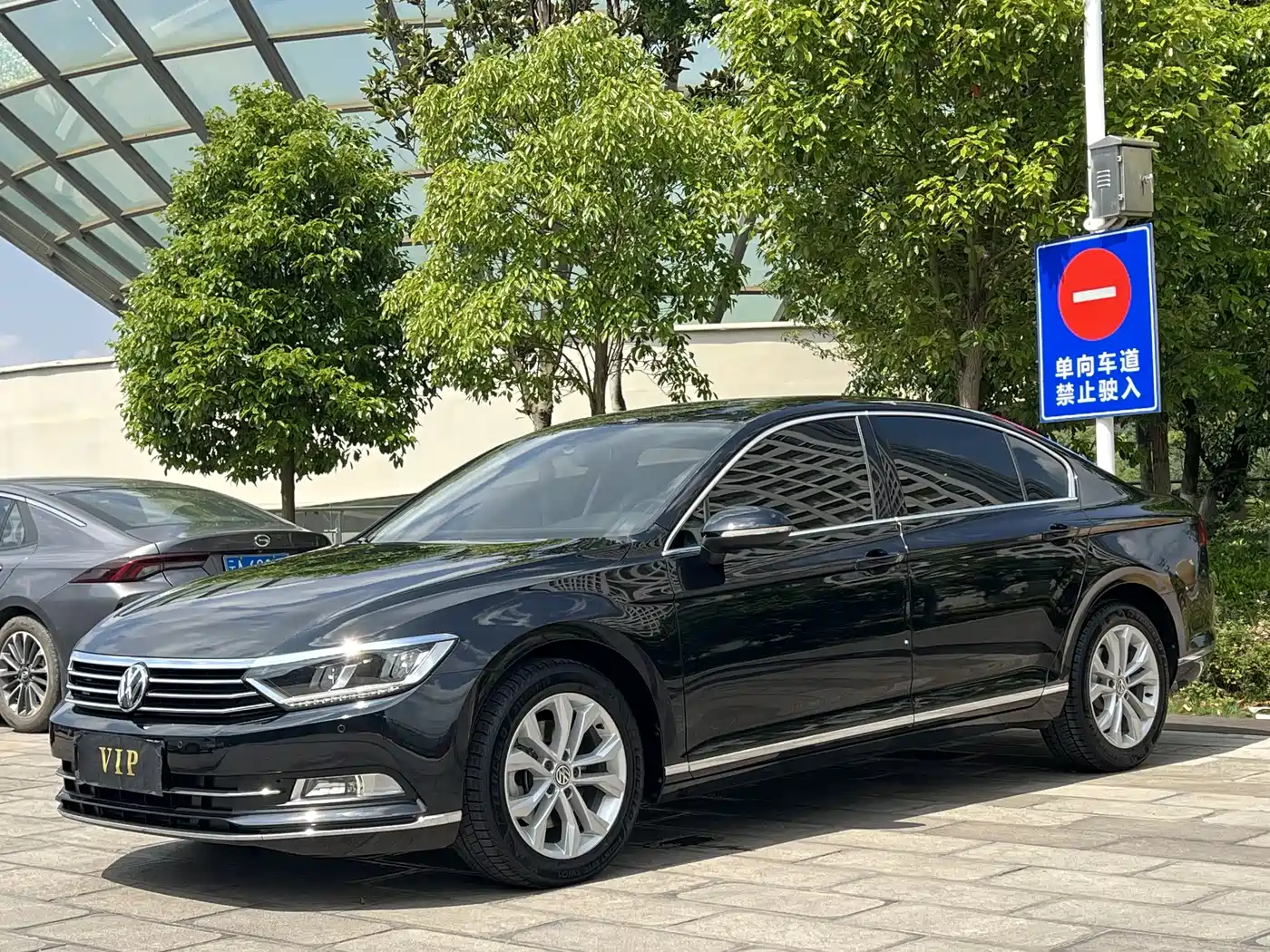 Volkswagen Magotan 2019 330TSI DSG Luxury Class China VI