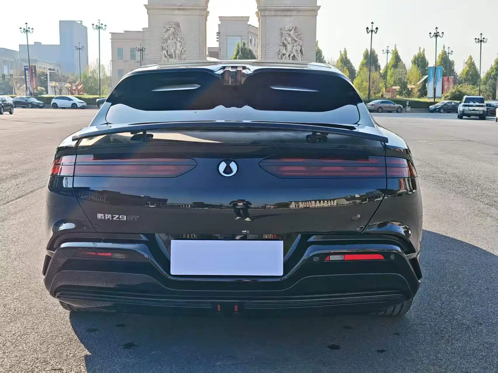 Фото 6 - Denza Z9GT