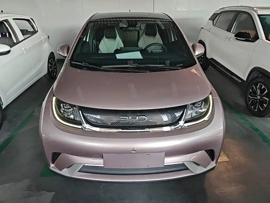 Фото 3 - BYD Dolphin