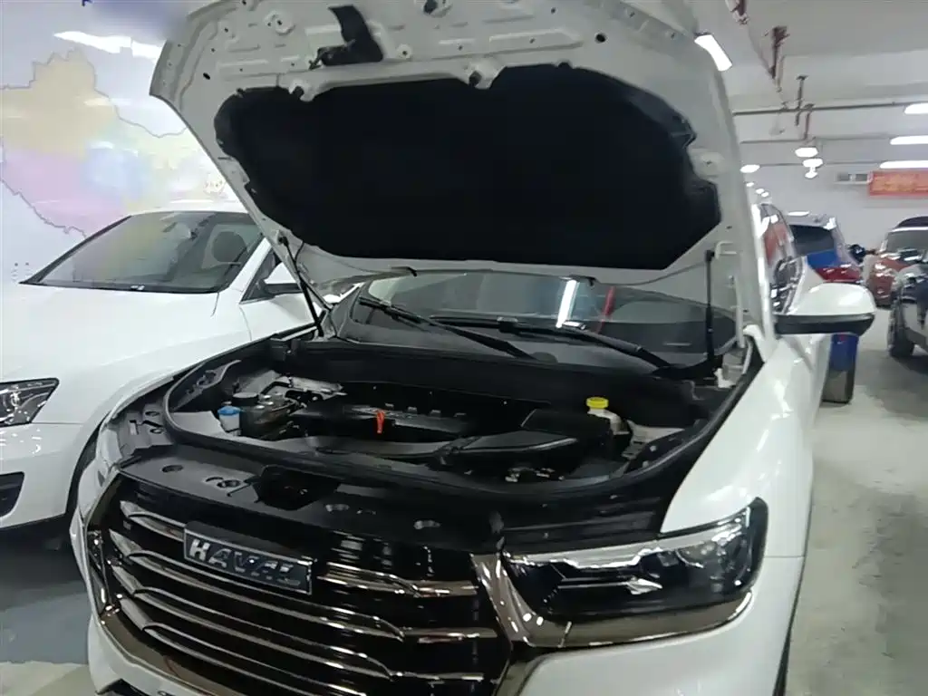 Haval H6 2021 National Trend Edition 1.5GDIT Automatic Champion Edition фото 20
