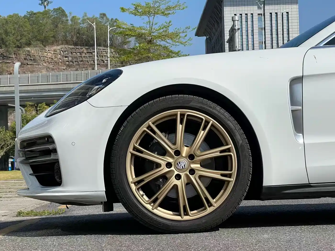 Porsche Panamera 2021 Panamera 4 Executive Long Wheelbase 2.9T фото 25
