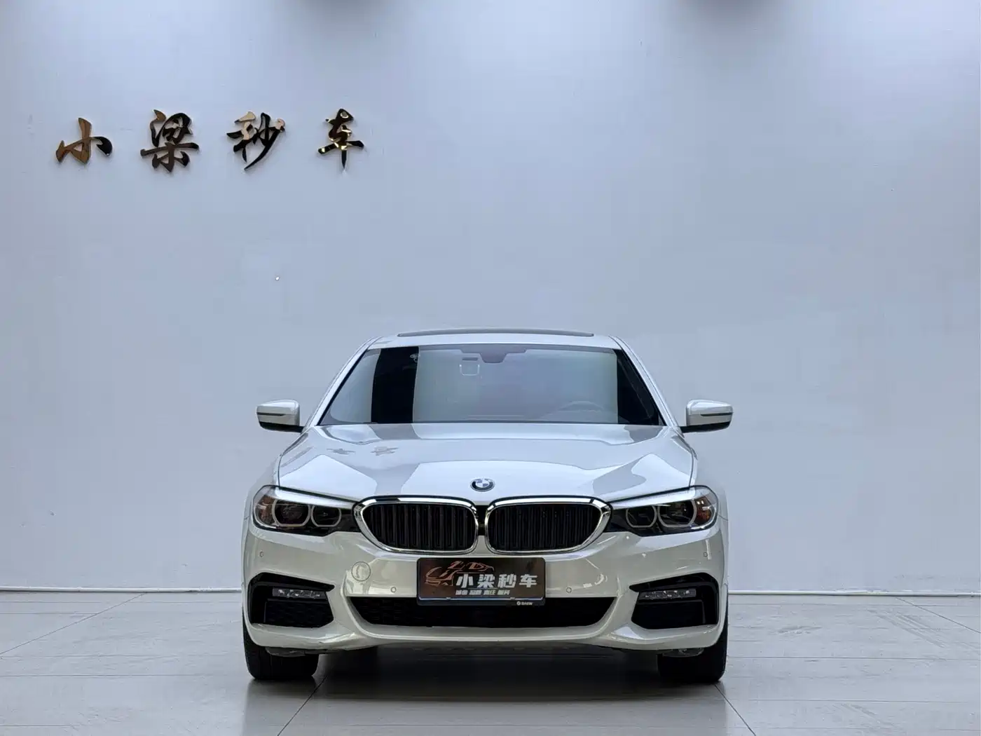 BMW 5 Series 2019 525Li M Sport Package фото 2