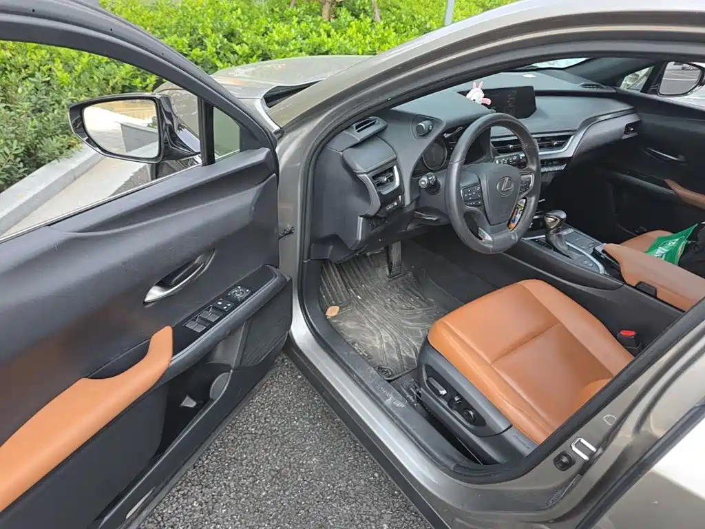 Lexus UX 2020 2020 260h Explore Fun Edition