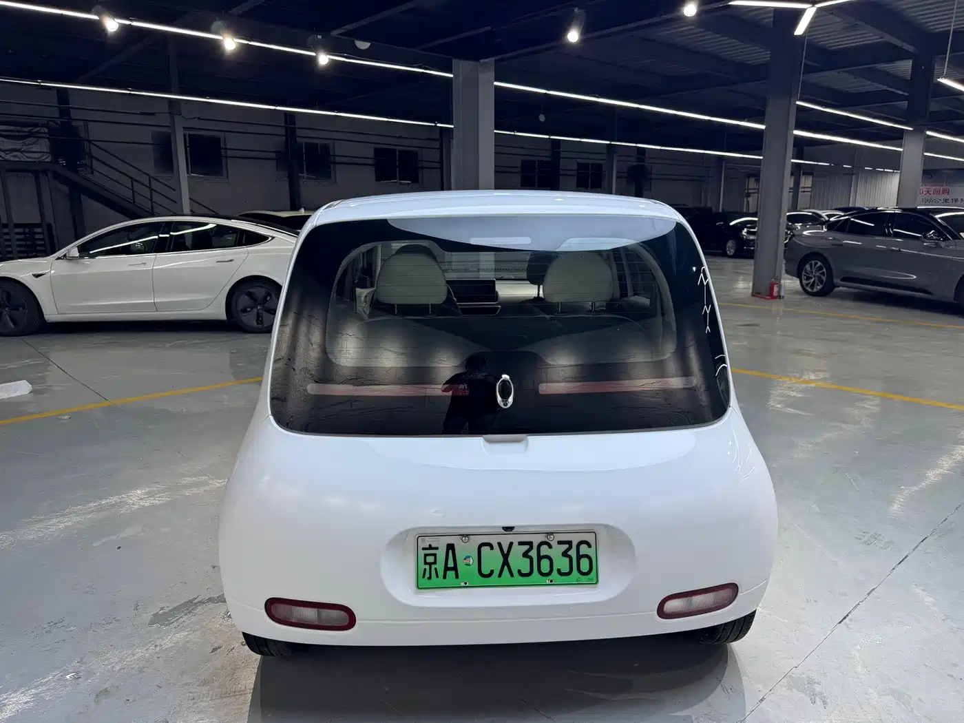 Ora White Cat 2020 2020 360km Luxury Model