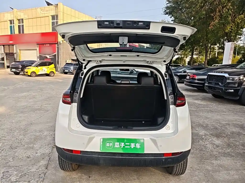 Dayun Yuehu 2020 2021 32.85kWh 2WD Elf Edition