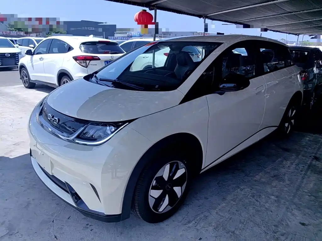BYD Dolphin 2025 420km Freedom Edition