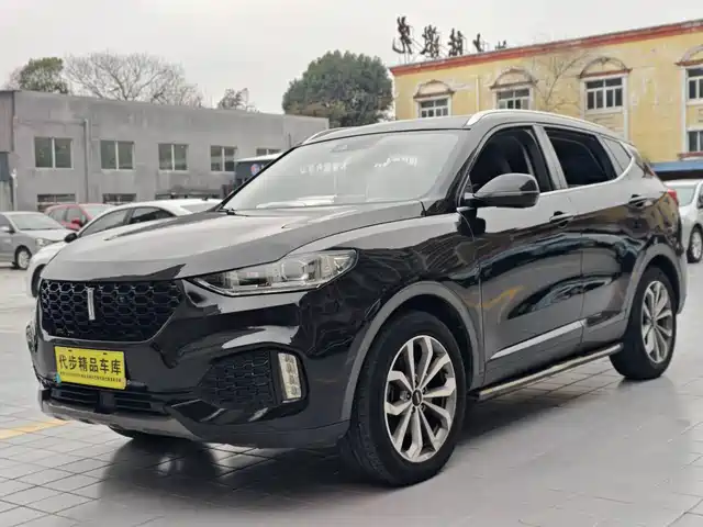 WEI PAI WEI BRAND VV6