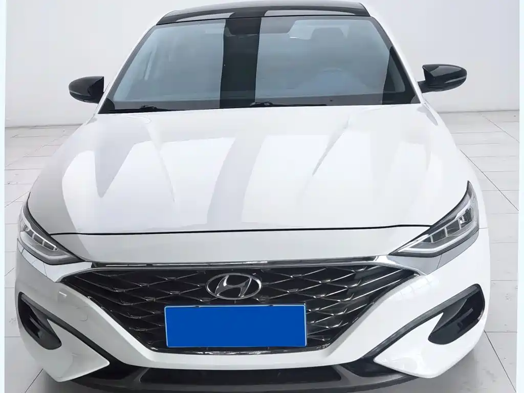 Фото 1 - Hyundai Lafesta