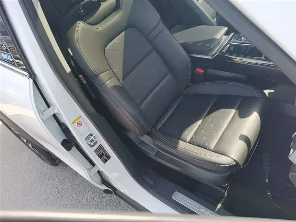 Haval Big Dog 2022 1.5T DCT FWD Border Collie Edition фото 25