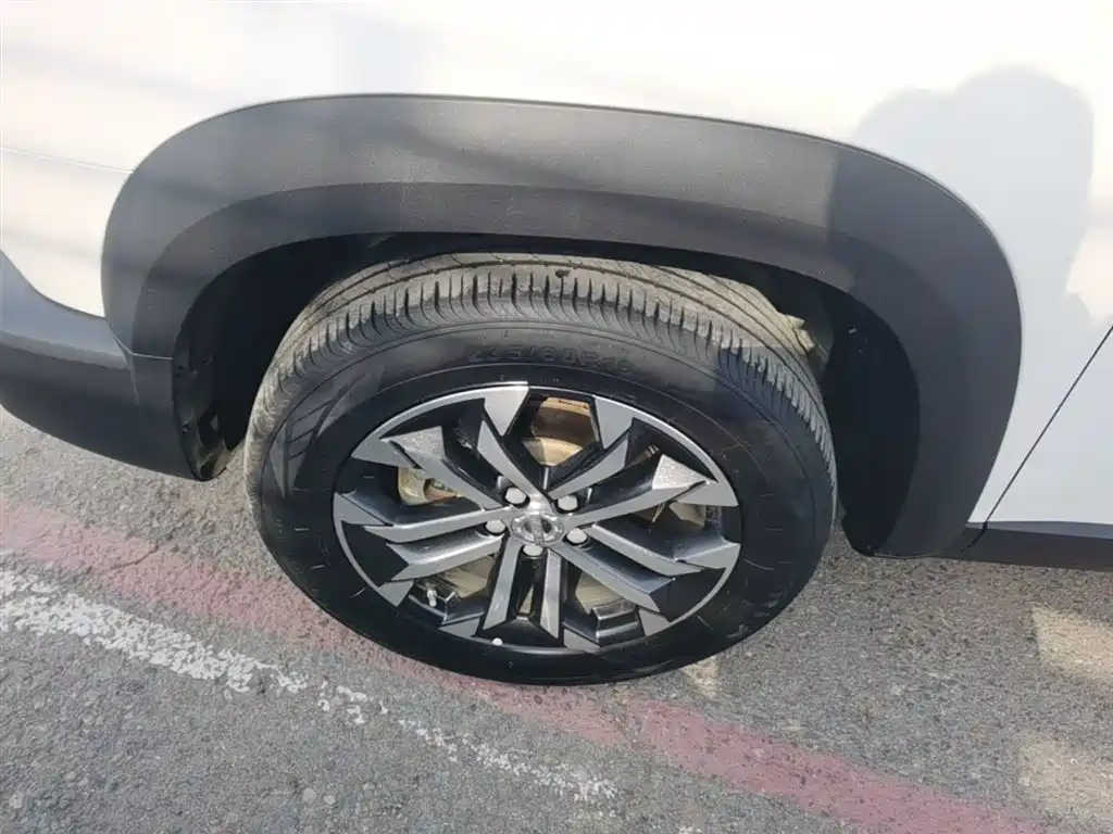 Haval Big Dog 2022 1.5T DCT FWD Border Collie Edition фото 23