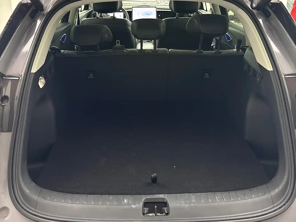 BYD Hai Shi 05 EV 2025 520KM Flagship Smart Navigation Edition фото 14