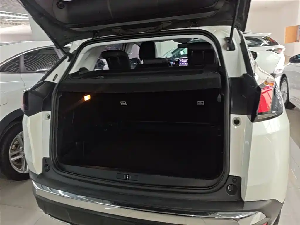 Peugeot 4008 2018 350THP Elite фото 19