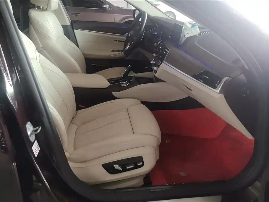 BMW 5 Series 2018 530Li xDrive Luxury Package фото 8