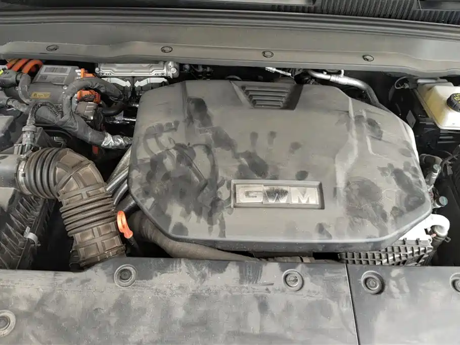 Tank 400 New Energy 2024 Hi4-T Off-Road Edition фото 10