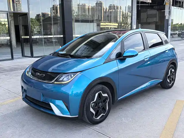 BYD Dolphin 405km, Стиль