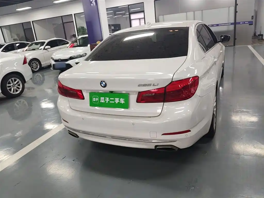 BMW 5 Series 2019 525Li Luxury Package фото 6