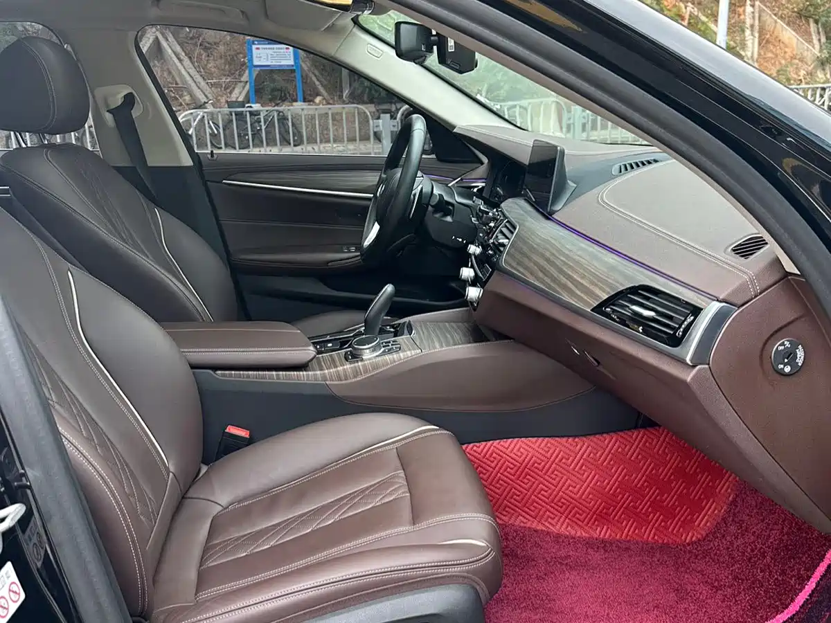 BMW 5 Series 2020 530Li Leading Luxury Package фото 13