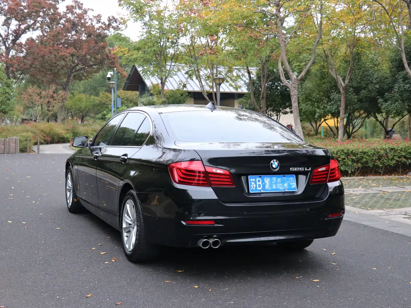 BMW 5 Series 2014 520Li Elegance фото 26
