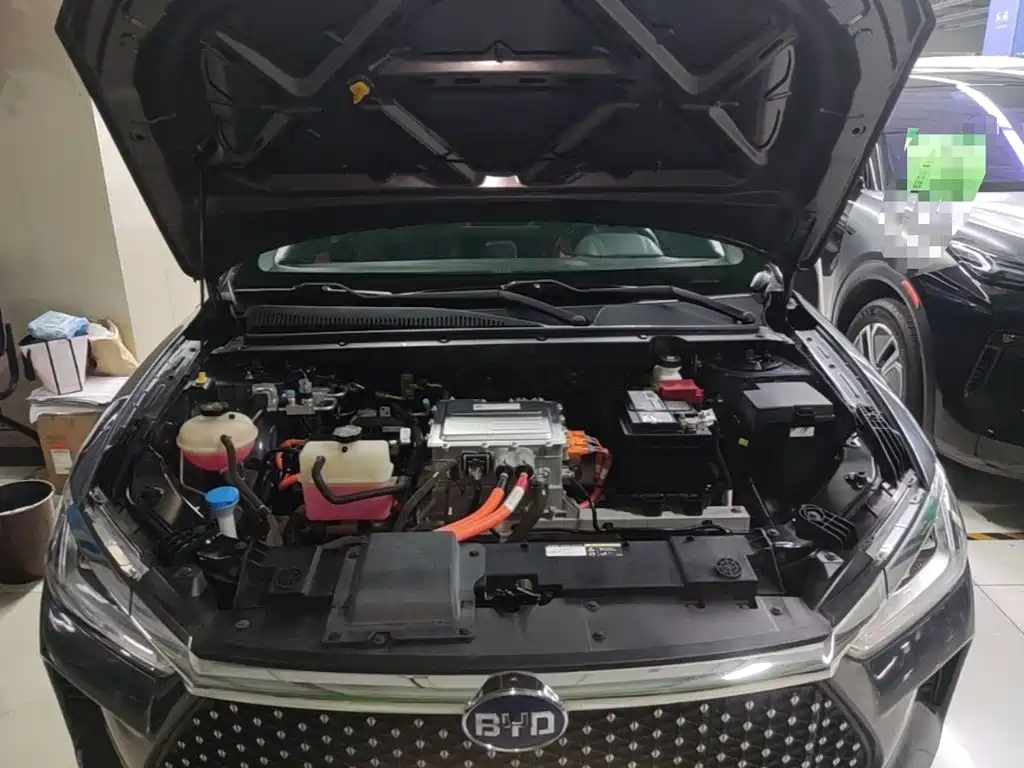 Фото 20 - BYD e2