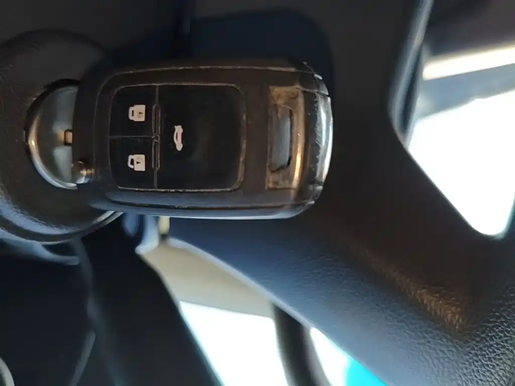 Chevrolet Cavalier 2018 320 Manual Joy Edition фото 9