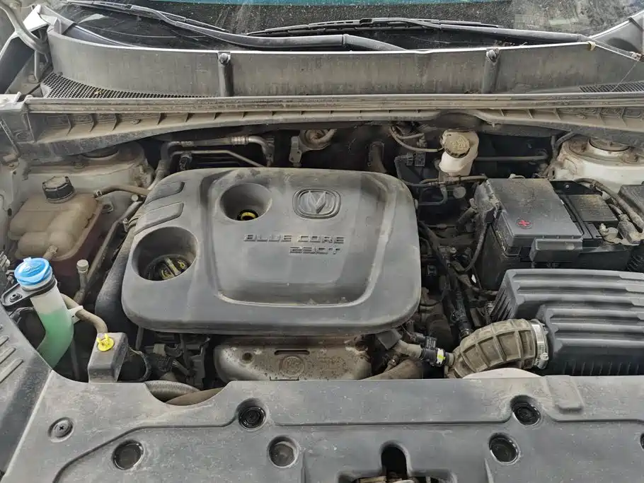 Changan CS55 PLUS 2020 2020 1.5T Manual Color Edition